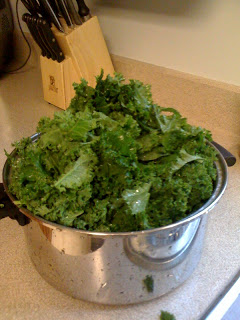 raw_kale